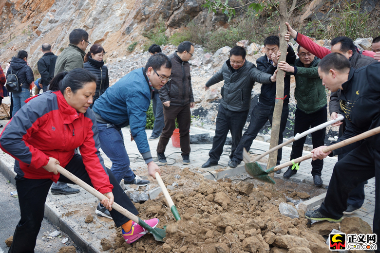 荔波县检察干警积极参加“绿色三年行动”植树造林活动
