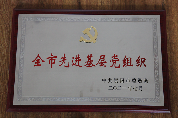全市先进基层党组织