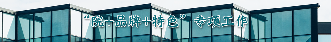 “院+品牌+特色”专项工作