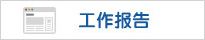 工作报告